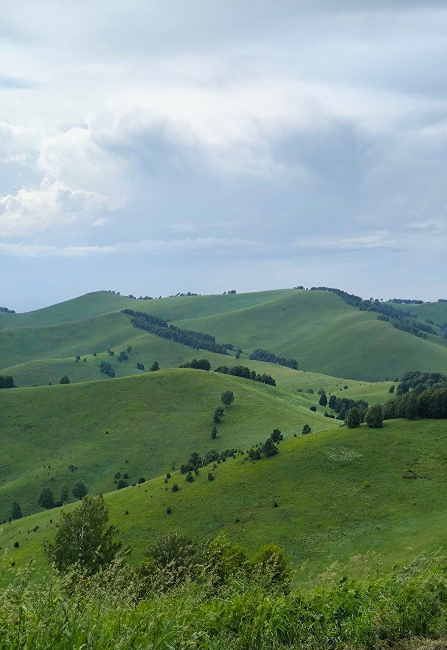 горы Алтая